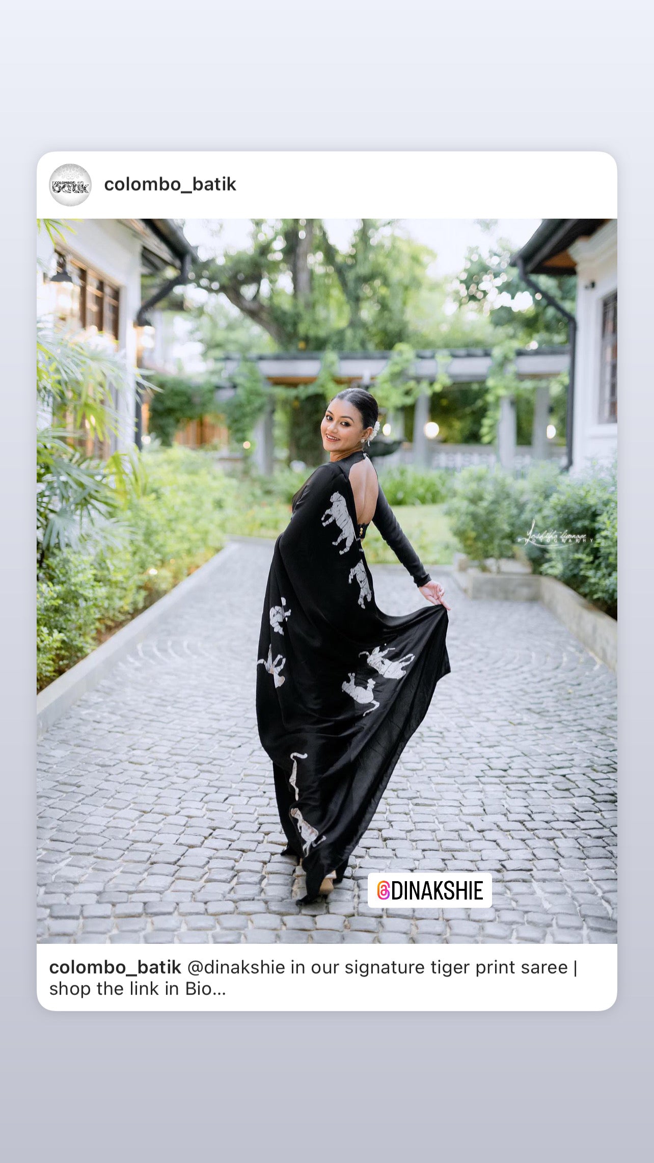 Midnight Panther Saree