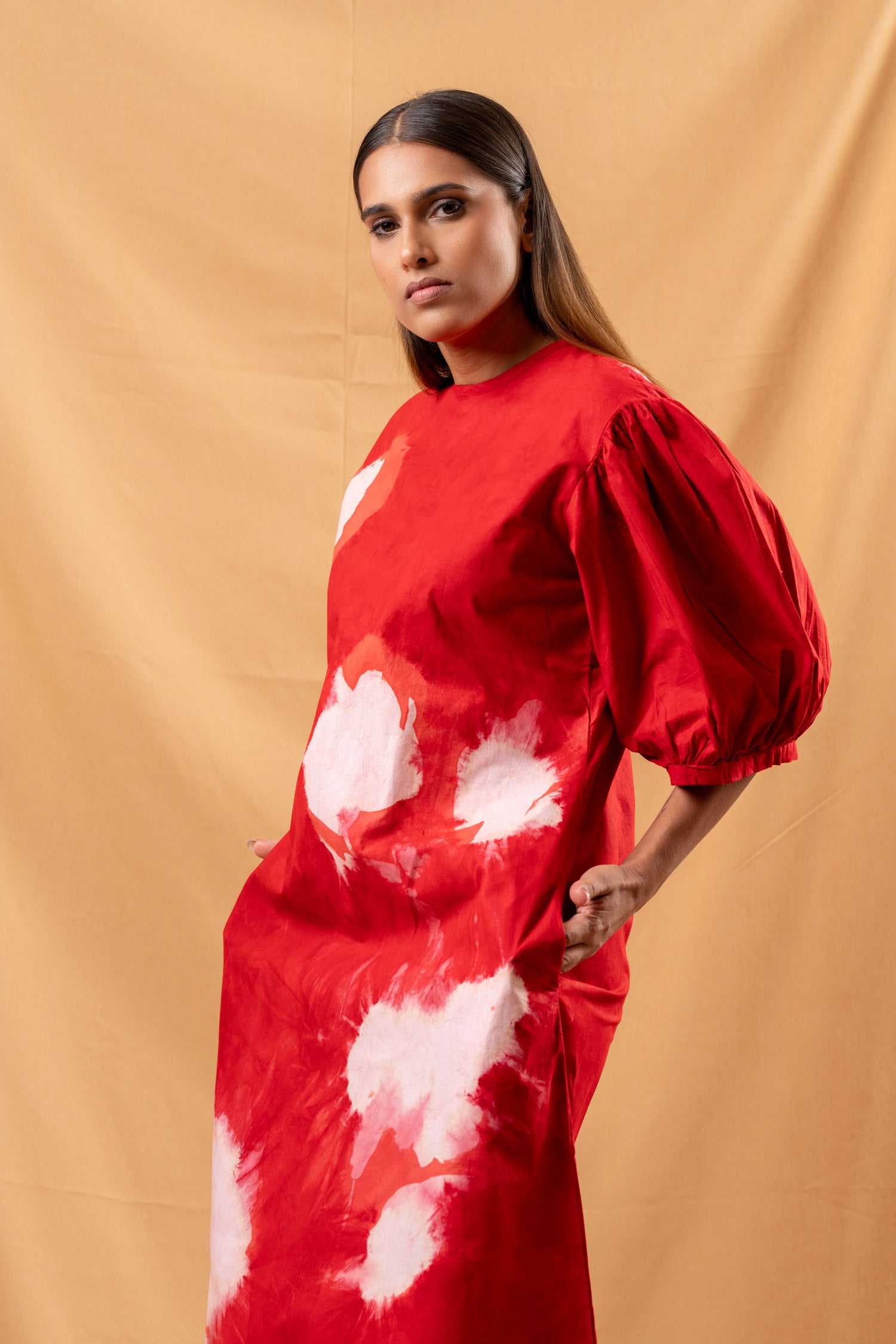 Red Echo Puff Sleeve Dress